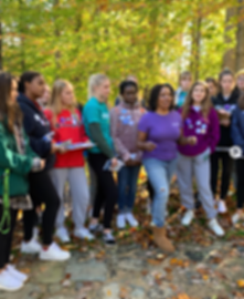 Screen Shot 2019-11-17 at 4.30.48 AM.png